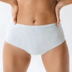 Blue Pinstripe High-Waisted Bottoms -Fashion Swimsuit 369A0052 c8c4f7a8 4170 4e6c b73c 76554a235286